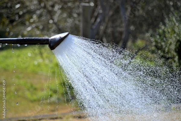 Fototapeta 花壇に水まきをしているホースの散水です