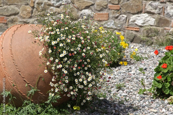 Fototapeta Blume in einer Amphore im Steingarten