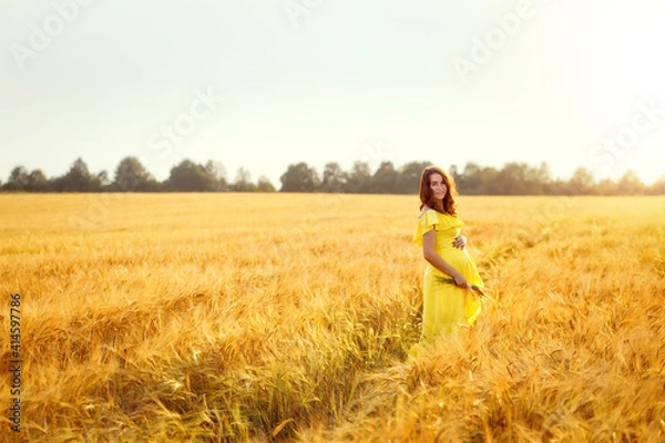 Fototapeta Pregnant expectant mother in a yellow dress and dark curly hair in a wheat field with ears of wheat in her hands at sunset. Copyspace