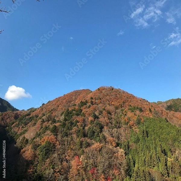 Obraz 長野県阿南町の山奥の集落、和合の美しい紅葉の風景