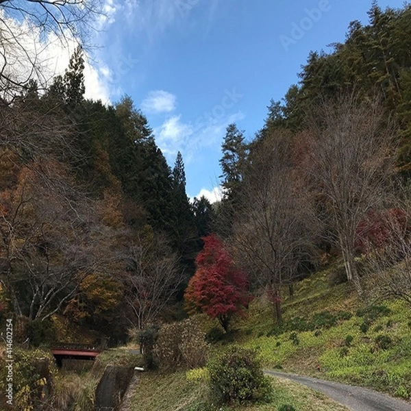Obraz 長野県阿南町の秋の雄大な自然の風景