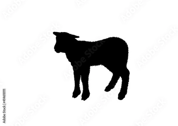Obraz Silhouette agnello