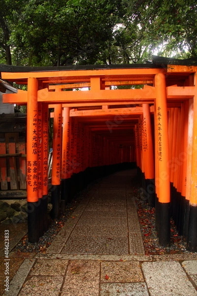 Obraz 京都 伏見稲荷大社 千本鳥居