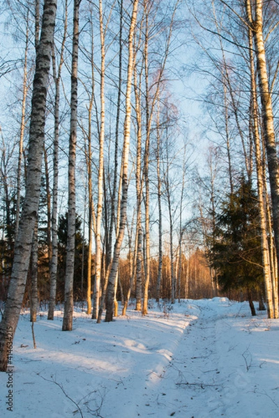 Fototapeta winter landscape two