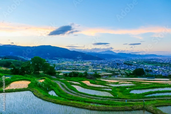 Obraz 夕焼けはじまる棚田