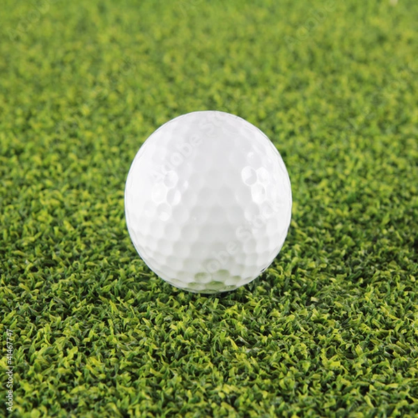 Obraz Goft ball on green grass