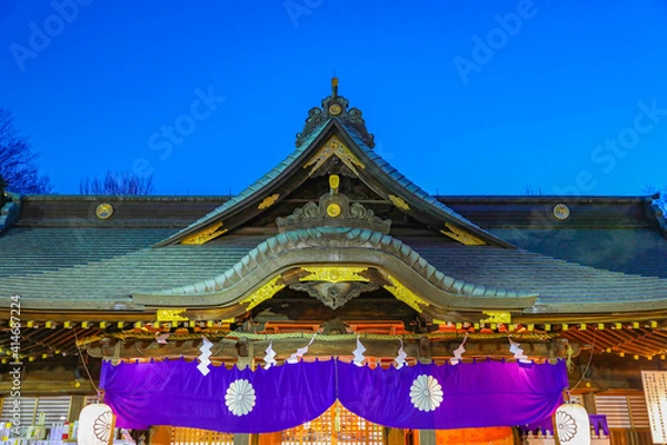 Obraz 大國魂神社 ライトアップ