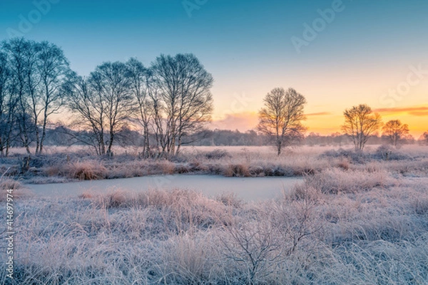 Obraz Winterlandschaft 