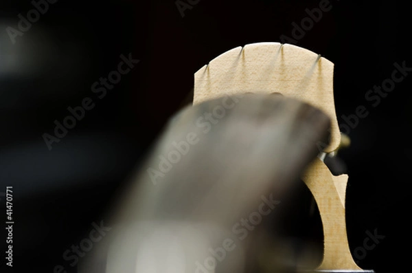 Fototapeta Cello Bridge