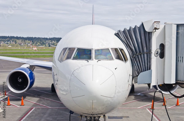 Fototapeta At the gate