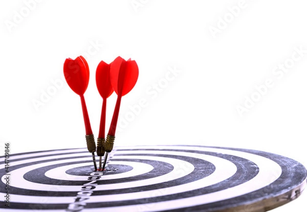 Fototapeta Target hit in the center by arrows. Success goals Targeting the business concept. Target and goal as concept. isolated on white background.