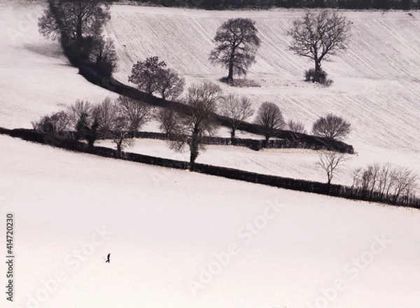 Obraz Lone Man Walking Through the Snow