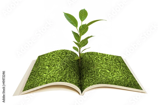 Obraz Book open and seedlings grow