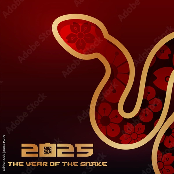 Fototapeta 2025 snake symbol of the new year, banner, poster, card template, vector illustration, golden gradient on a red background