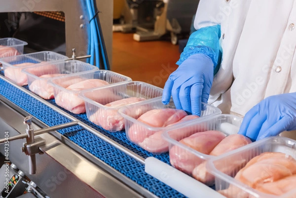 Obraz Factory for the production of food from meat.Production line with packaging .Conveyor Belt Food.Food products meat chicken in plastic packaging on the conveyor.