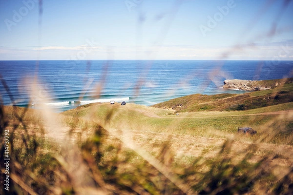 Obraz freedom at the beach