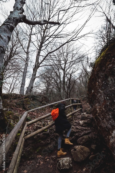 Obraz child on a tree