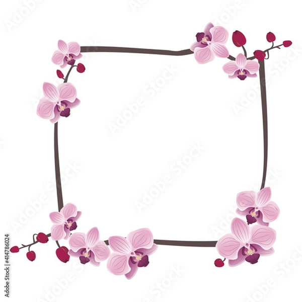 Fototapeta Cute orchids frame