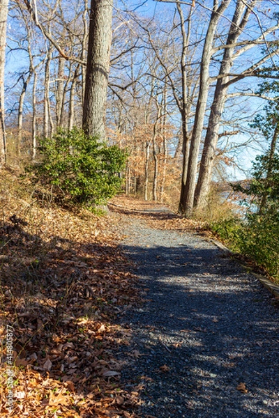 Fototapeta path in the park