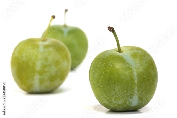 Obraz Three Ripe Greengages