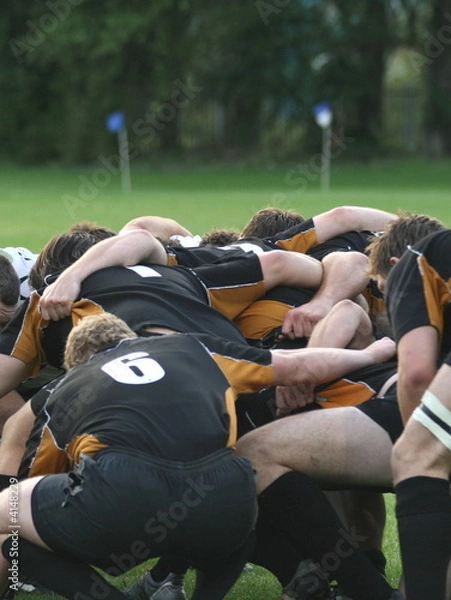 Obraz rugby