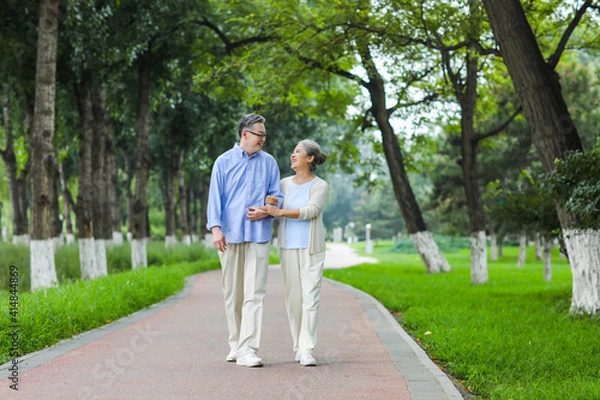 Obraz Happy old couple walking in the park
