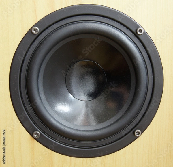 Obraz loudspeaker