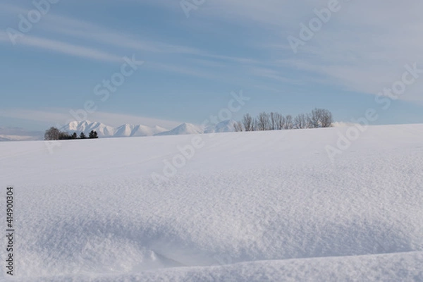 Fototapeta 美瑛冬のソナタ