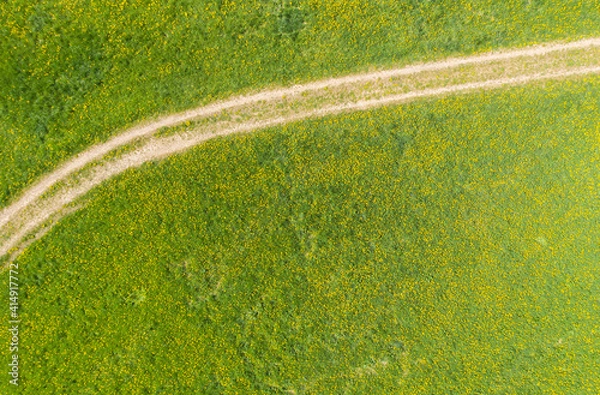 Fototapeta Look down on a meadow with blooming dandelions in the Taunus / Germany 