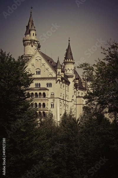 Obraz Castle in the forest
