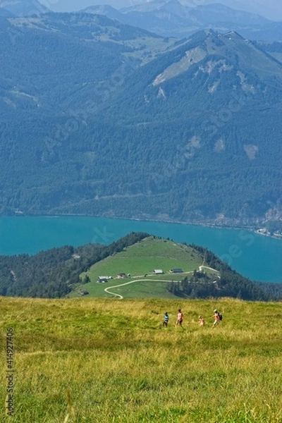 Obraz Green field in mountain