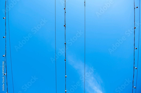 Fototapeta The bulbs are hung in long rows background sky , look beautiful in the morning