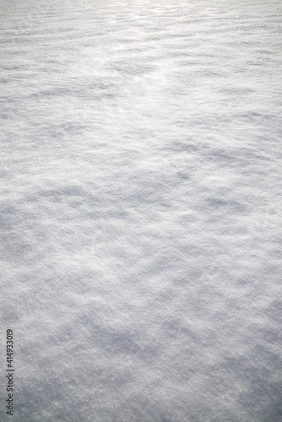 Fototapeta Snow close up