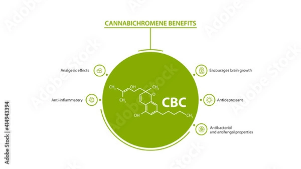 Fototapeta White and green information poster of Cannabichromene Benefits with benefits with icons and Cannabichromene chemical formula