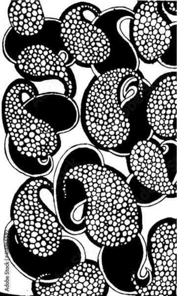 Obraz black and white distressed pattern