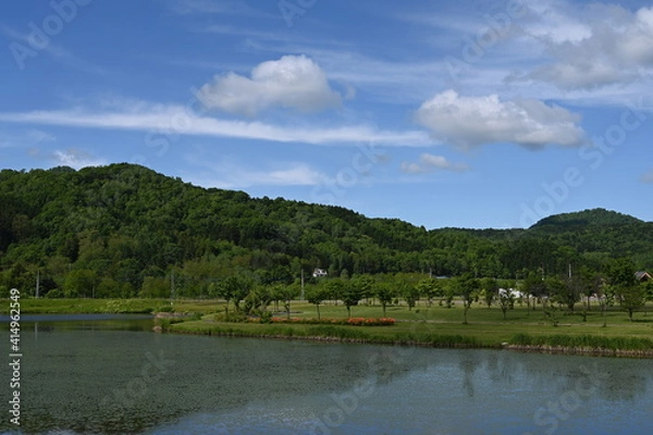 Obraz lake in the forest