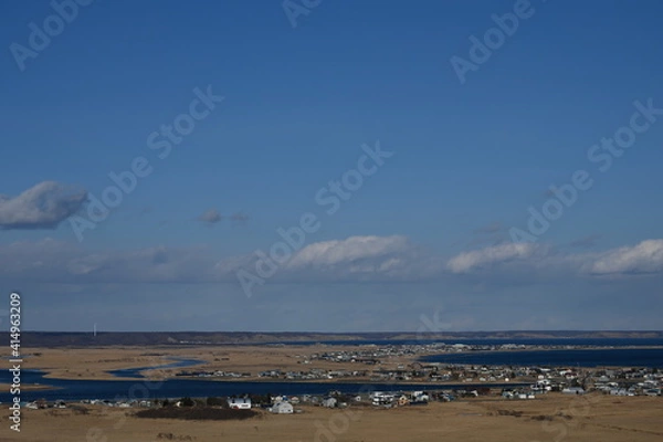 Obraz seagulls on the beach