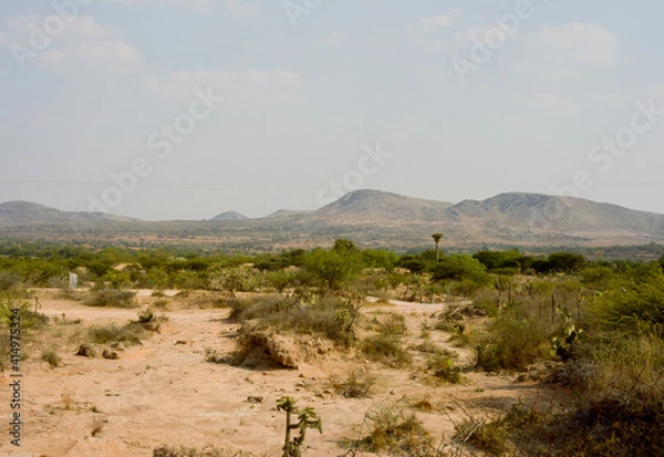 Obraz Semi-arid desert Mexico