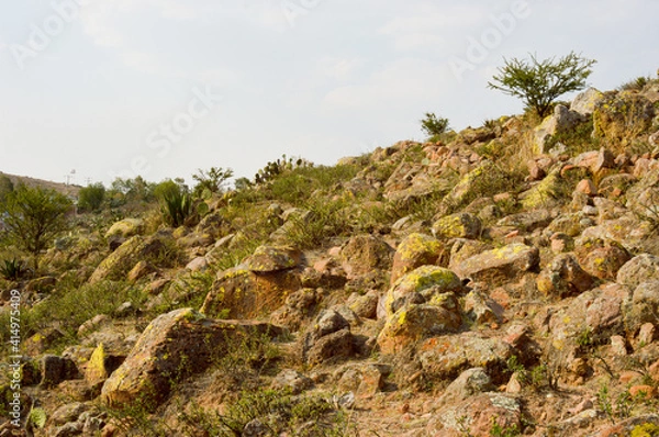 Obraz semi-arid climate stones