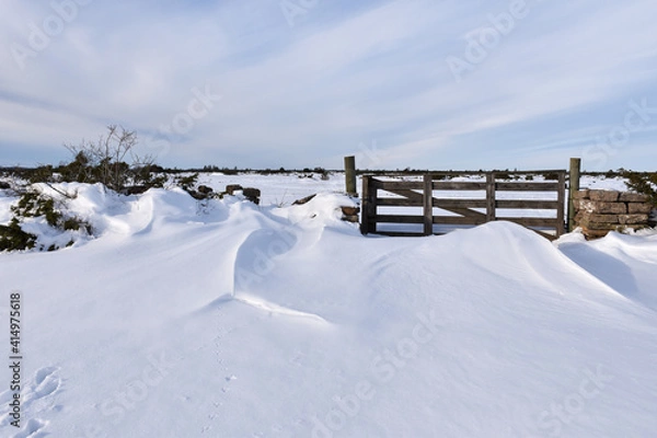 Obraz Snowdrift by an old wooden gate