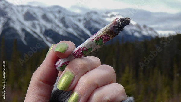 Fototapeta A Joint wrapped in pink leaf patterned rolling paper 