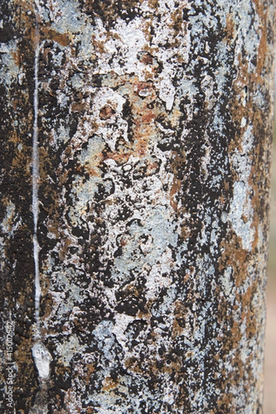 Fototapeta rusty texture