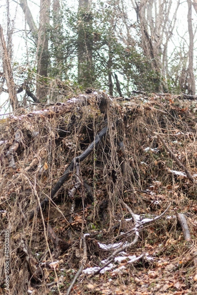 Fototapeta landslide
