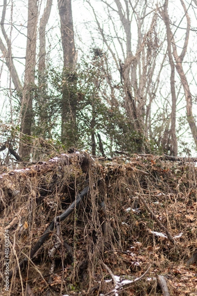 Fototapeta landslide