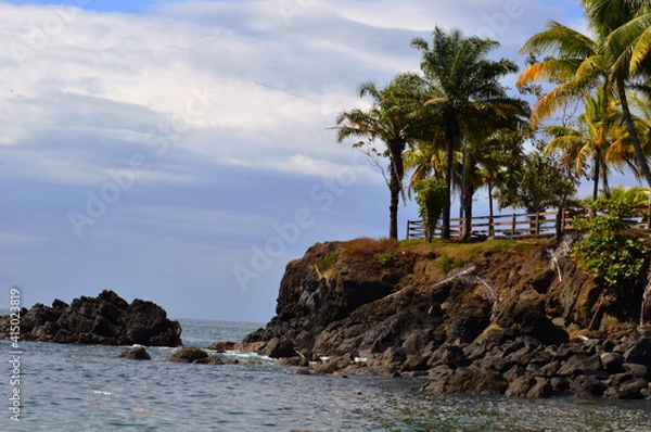 Obraz beach with trees
