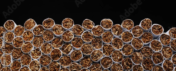 Fototapeta Cigarettes. Tobacco product. Heap of Tobacco Cigarettes on black background, close up from the front. Panoramic macro image, hi-res banner.