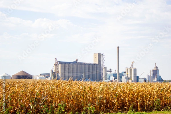 Obraz corn field and silos with blue sky