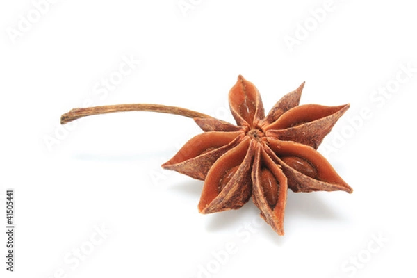 Obraz Badiane chinoise