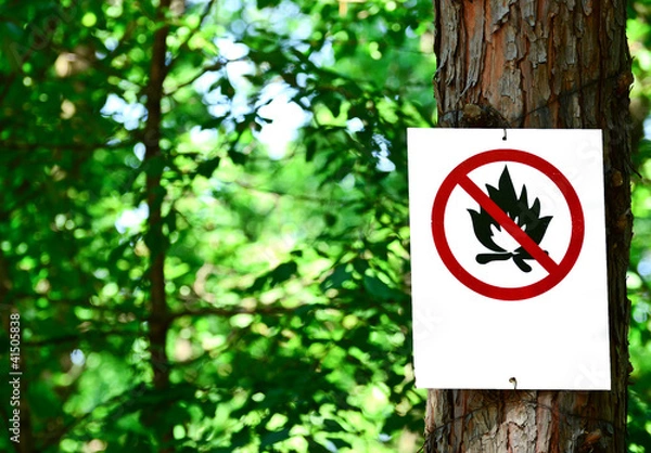 Fototapeta Sign on tree in forest - Prohibited fire concept