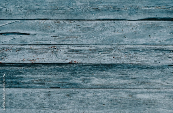 Fototapeta Gray wood texture with traces of cracked aquamarine paint.Abstract background,blank template. rustic weathered wood barn background with scratches,nails and knots.Copy space.